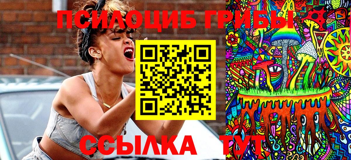 Галлюциногенные грибы Psilocybine cubensis Минусинск