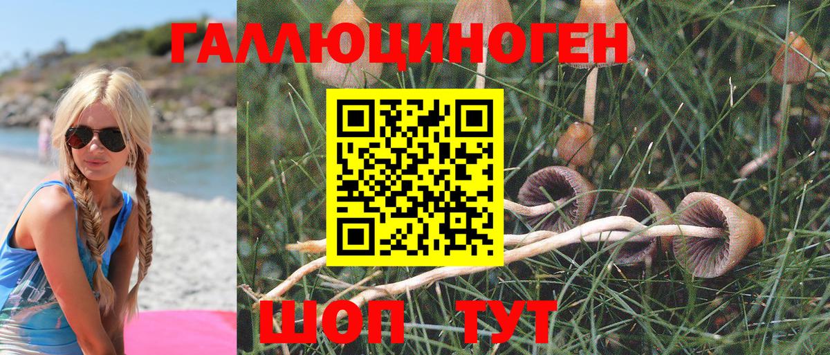 Минусинск  Галлюциногенные грибы Magic Shrooms  Вход с VPN 